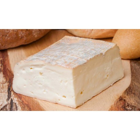 taleggio