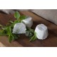 caprino fresco erbe aromatiche