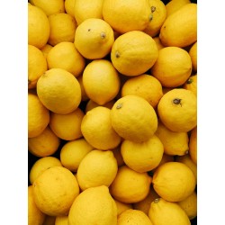 Limoni cassa da 10 kg
