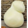 Scamorza Bianca - 250 g