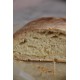 pane di semola grano duro - pugliese