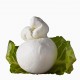 scamorza di Bufala 