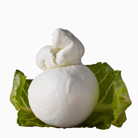 scamorza di Bufala 