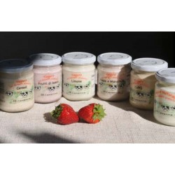 yogurt agrumi - 200 g