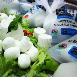 Mozzarella di Bufala Campana D.O.P. - nodini
