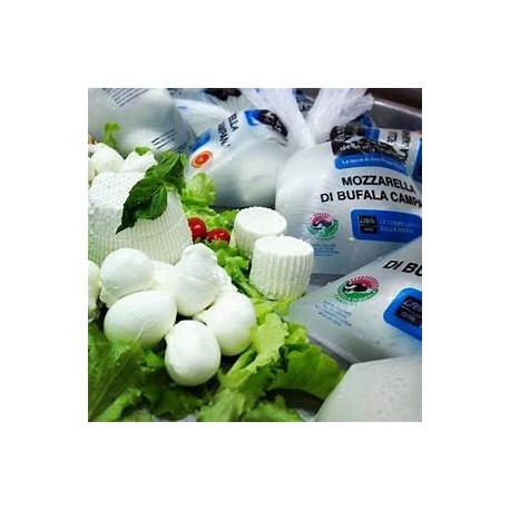 Mozzarella di Bufala Campana D.O.P. - nodini