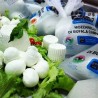 Nodini di Mozzarella di Bufala Campana D.O.P. - 2 X 250 g