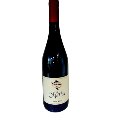 Marion Pinot nero vinif. Rosso O:P. D.O.C.