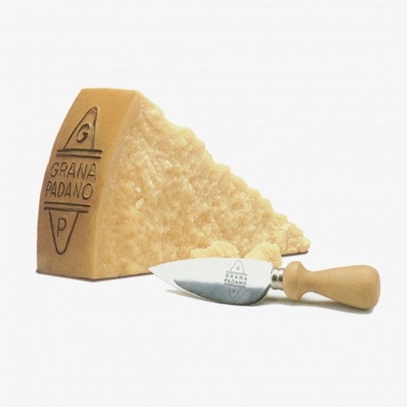 grana padano 24 mesi - bio 300 g
