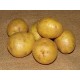 patate