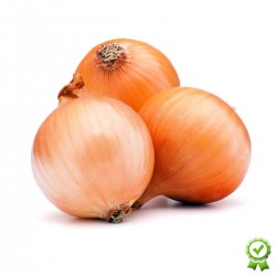cipolla