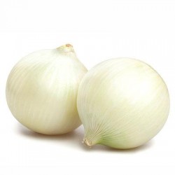 cipolla