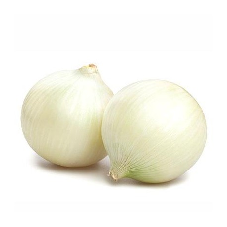 cipolla