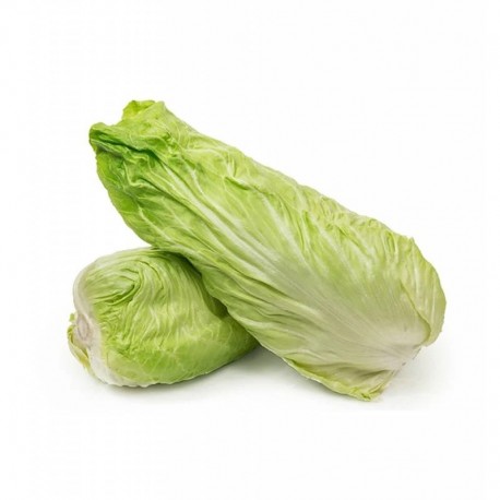insalata milanese BIO