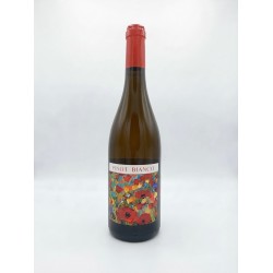 pinot bianco i.g.t.