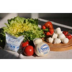 trecce di mozzarella   - 240 g