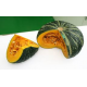 zucca delica