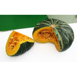 zucca delica