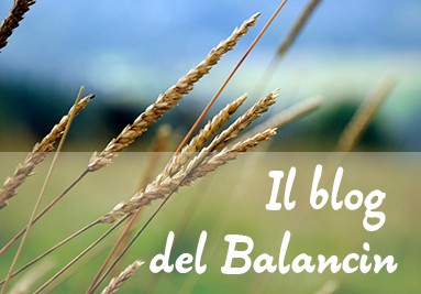 Blog Balancin